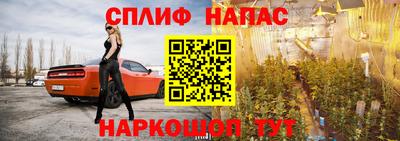 гидра Обь