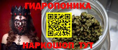гидра Обь