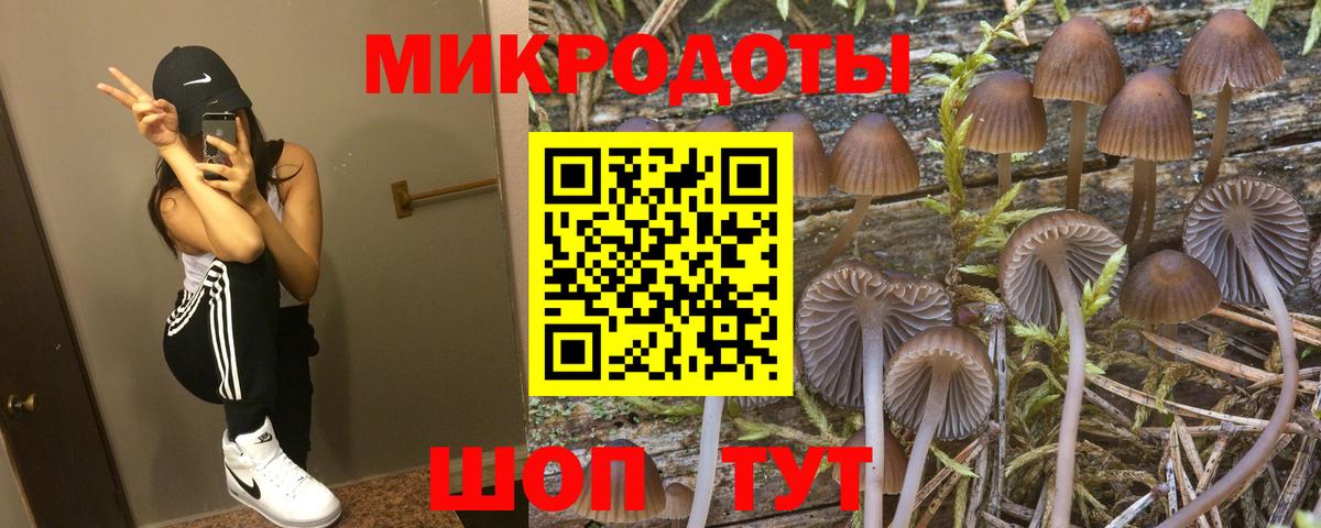 Родники  Галлюциногенные грибы Cubensis  Вход с VPN 